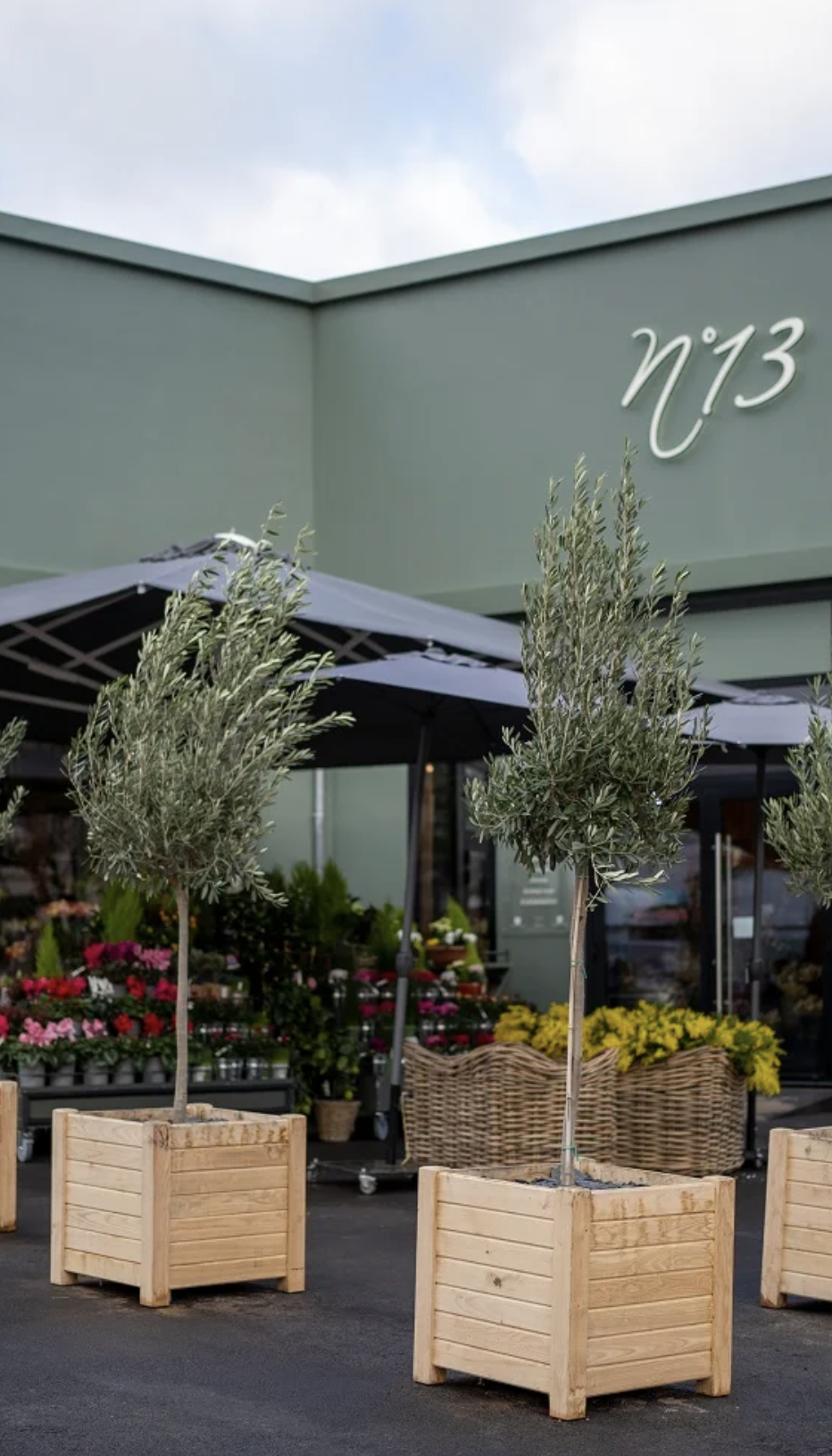 Création d’un fleuriste à Auxerre avec aménagement extérieur et oliviers en bacs – projet JBB Architecture