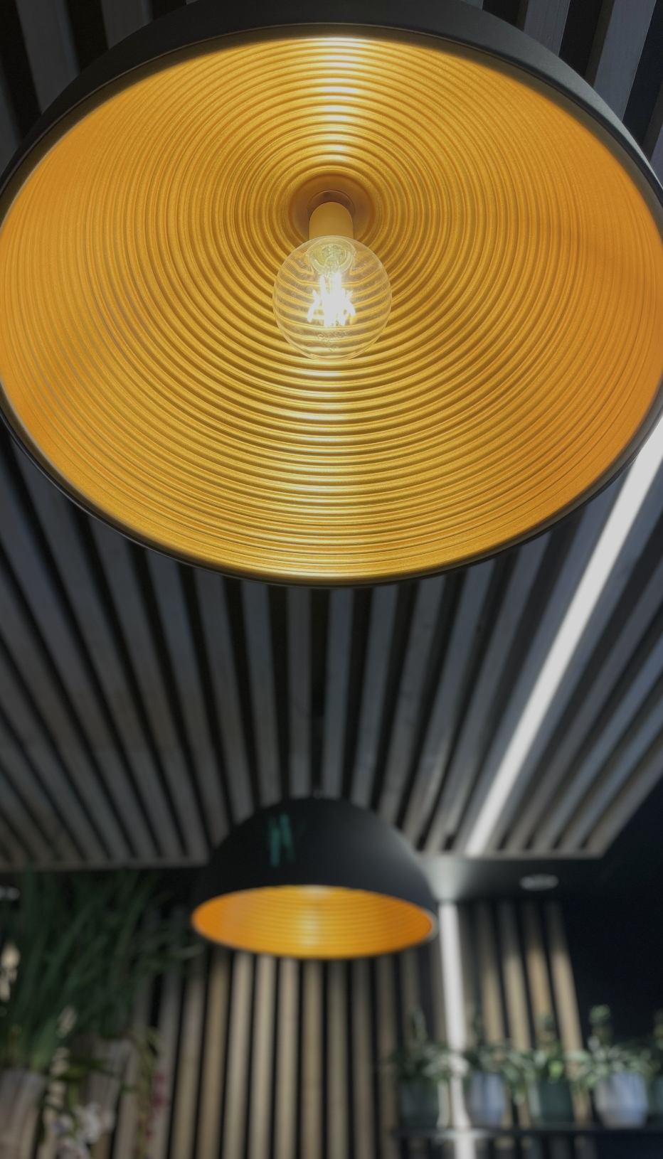 Luminaire suspendu avec réflecteur doré et effet lumineux circulaire, intégré dans un plafond à claire-voie bois – JBB Architecture par Jean-Baptiste Brulé